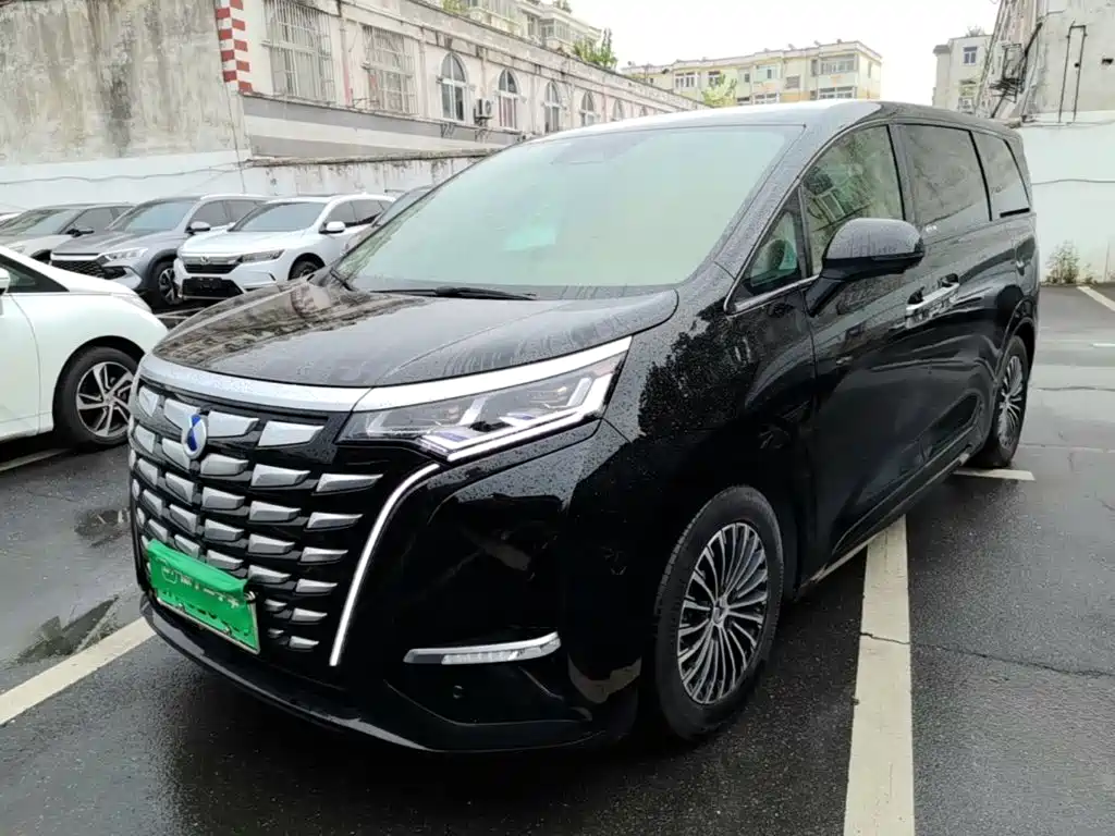 Denza Denza D9 — миниатюра 2