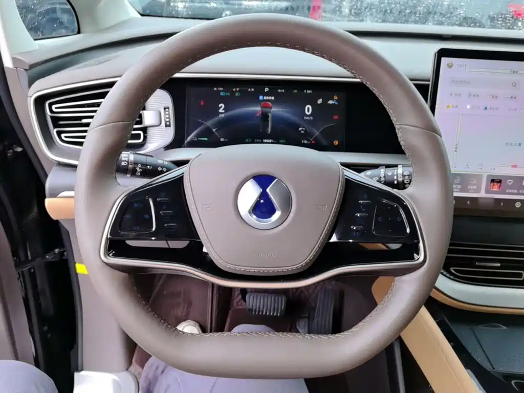Denza Denza D9 — миниатюра 11