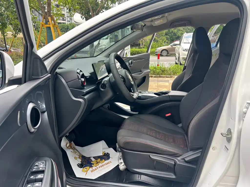 BYD e2 — миниатюра 19
