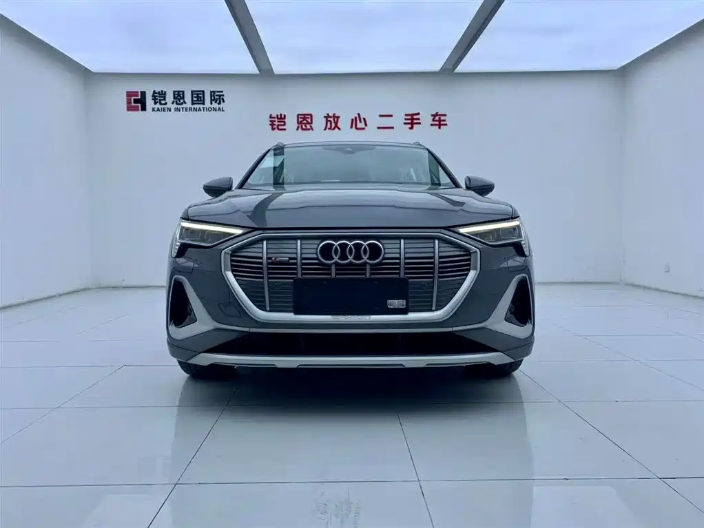 Audi e-tron 2021 50 quattro Luxury