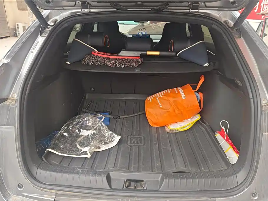 BYD SONGJIANG NEW ENERGY