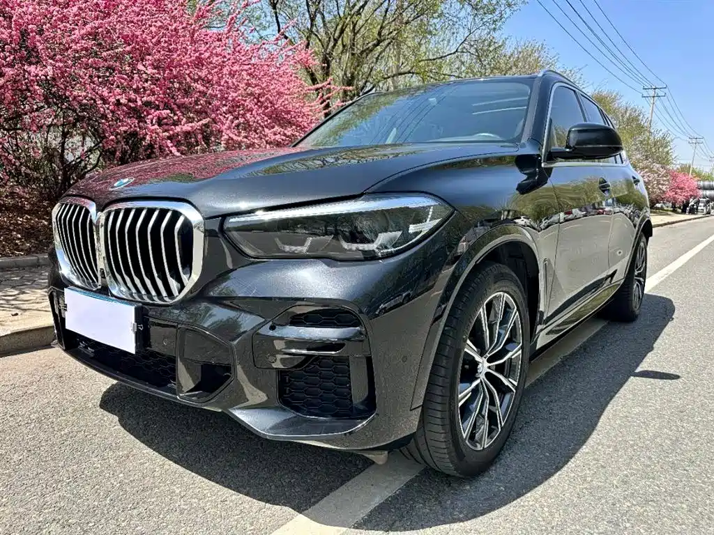 BMW X5 (Import) 2022