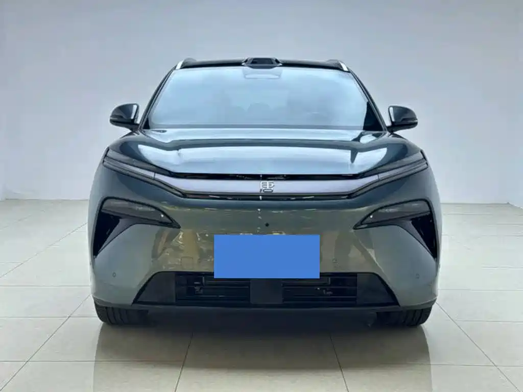 BYD Дон Л. — миниатюра 9