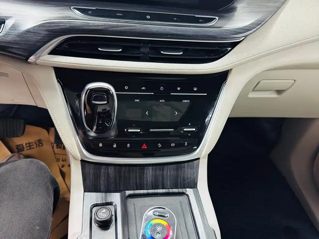 Buick GL8 — миниатюра 16
