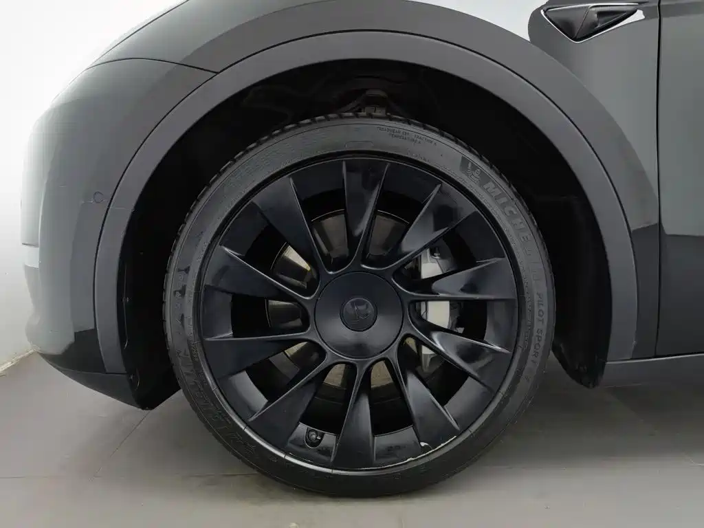 Tesla Model Y — миниатюра 17