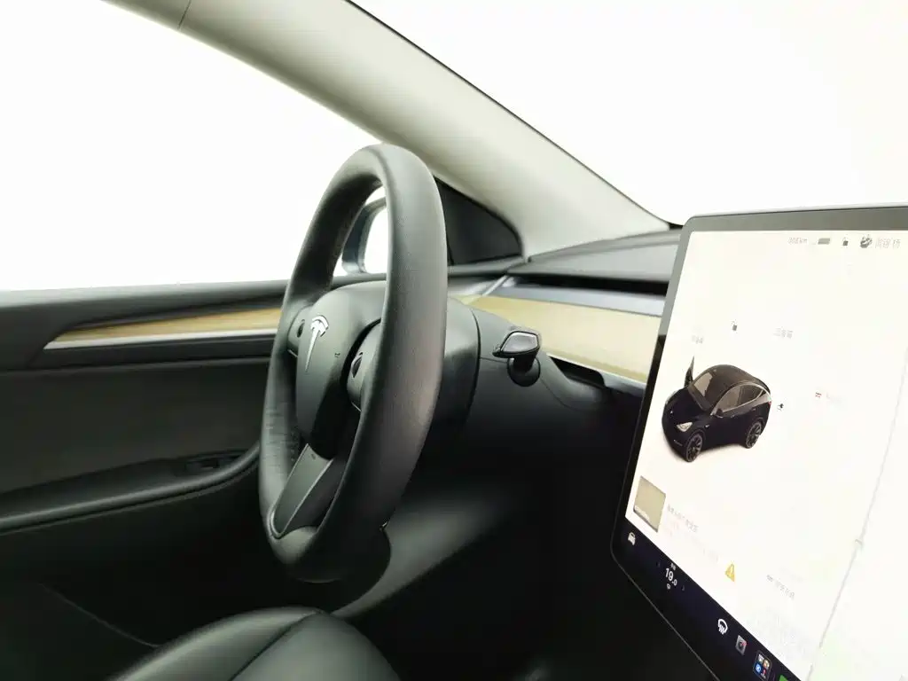 Tesla Model Y — миниатюра 22