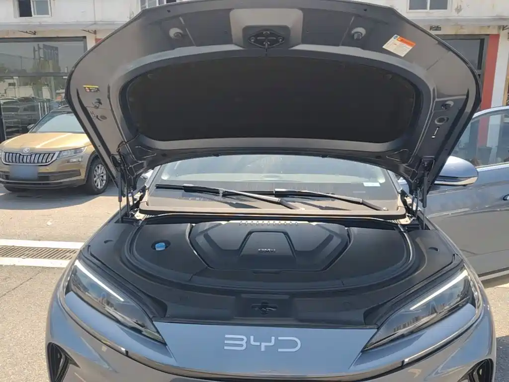 BYD Sealion 07 DM-i — миниатюра 20