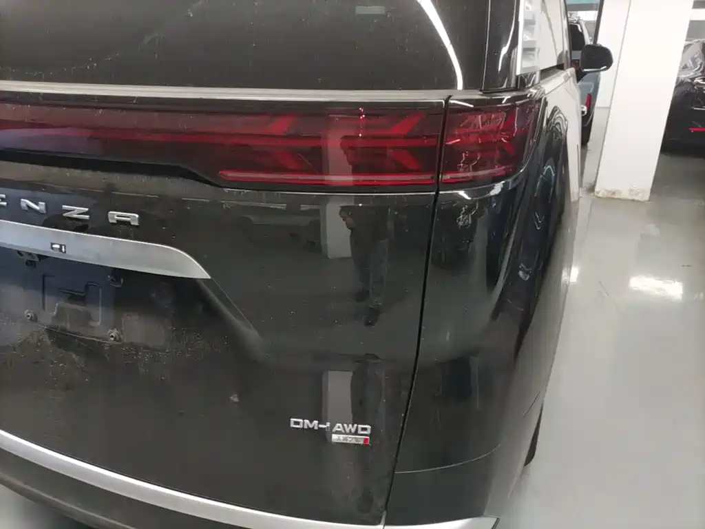 Denza Denza D9 — миниатюра 8
