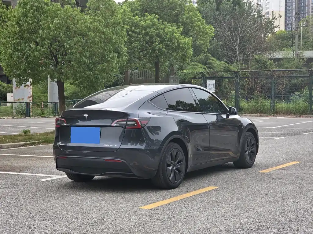 Tesla Model Y — миниатюра 5