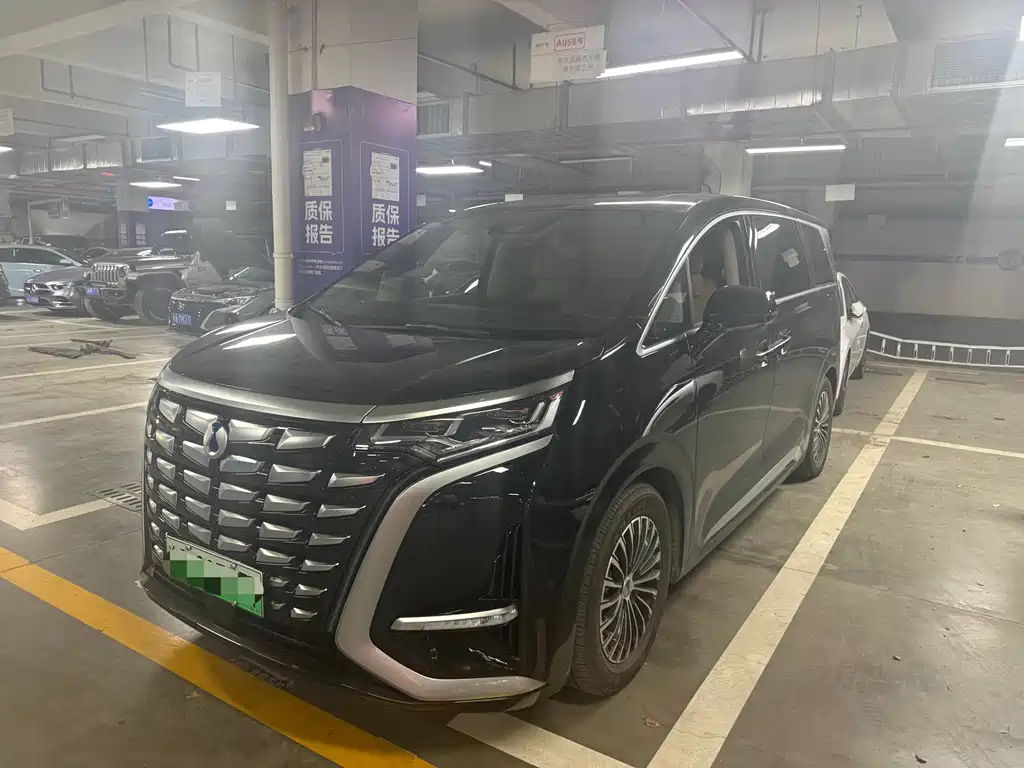 Denza Denza D9
