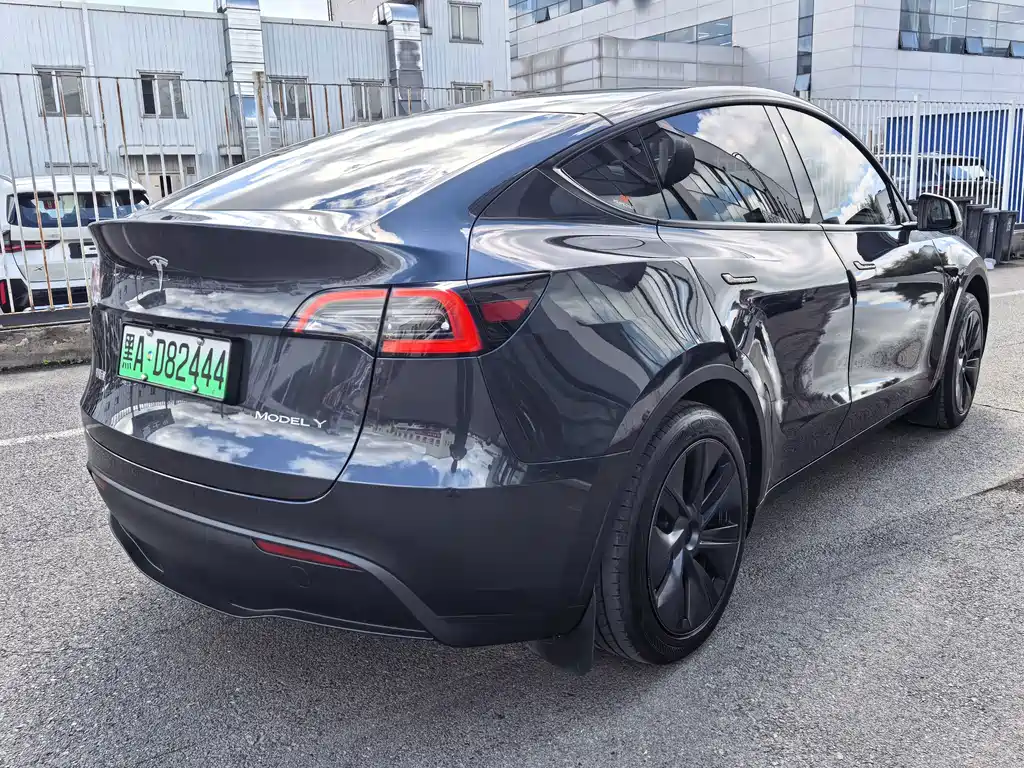 Tesla Model Y — миниатюра 4