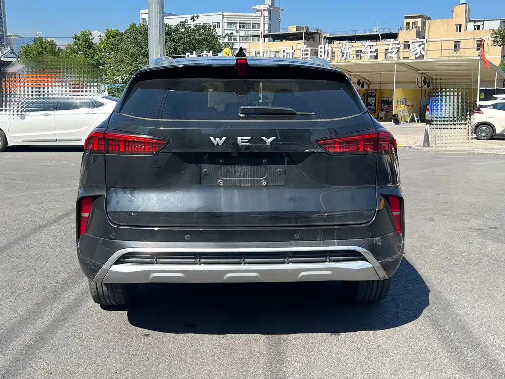 Wey Wey Mocha — миниатюра 5