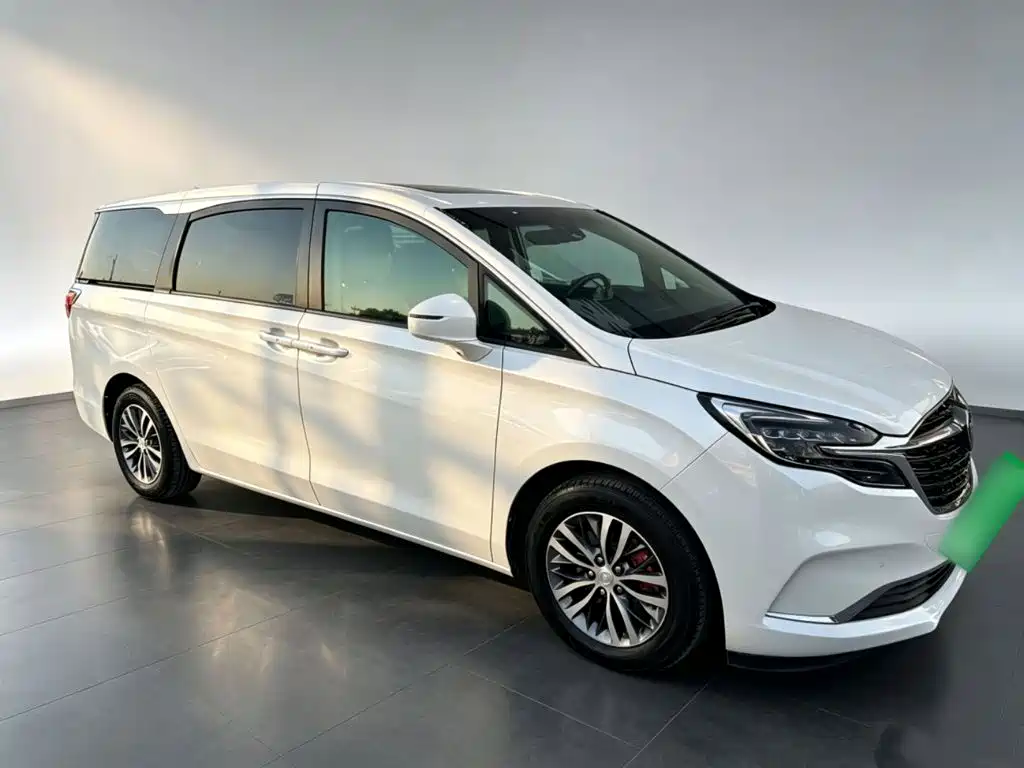 Buick GL8 — миниатюра 4