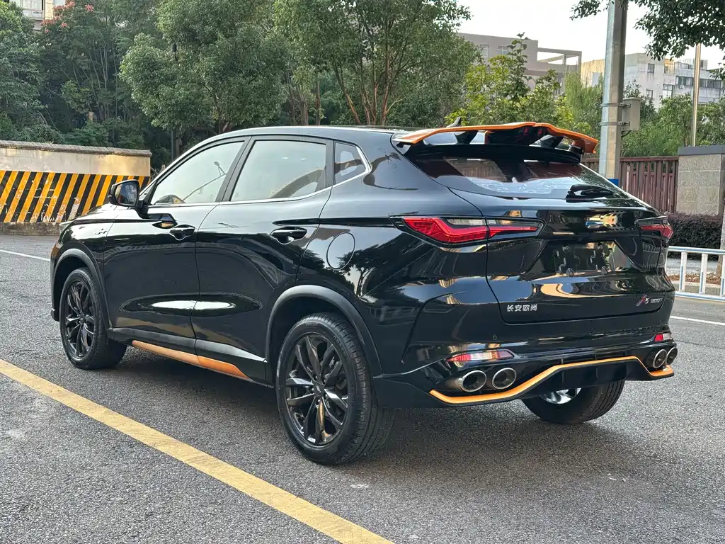 Oshan Oushang X5 — миниатюра 7