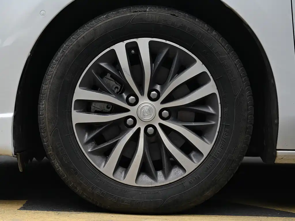Buick GL8 ES LandKing 653T Premium Type, фото 17
