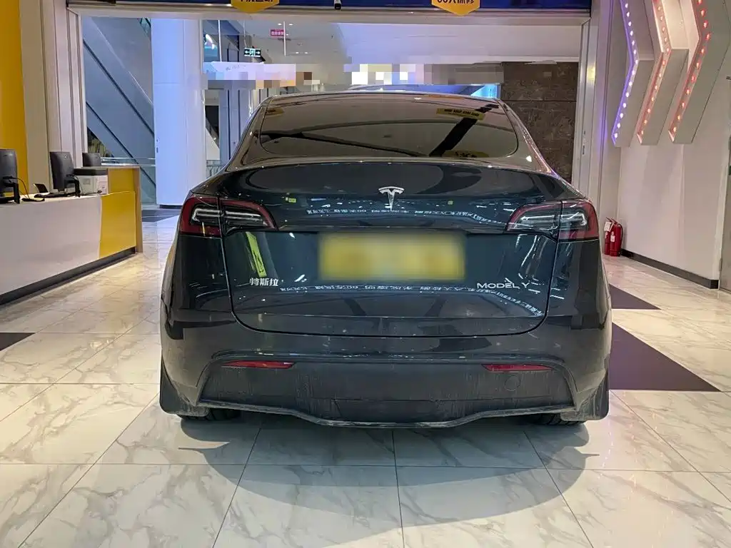 Tesla Model Y — миниатюра 6