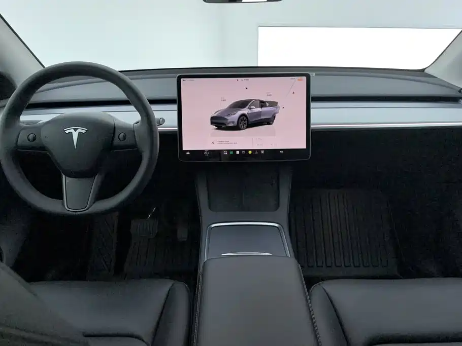 Tesla Model Y — миниатюра 12