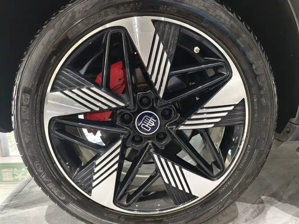BYD Tang New Energy — миниатюра 11
