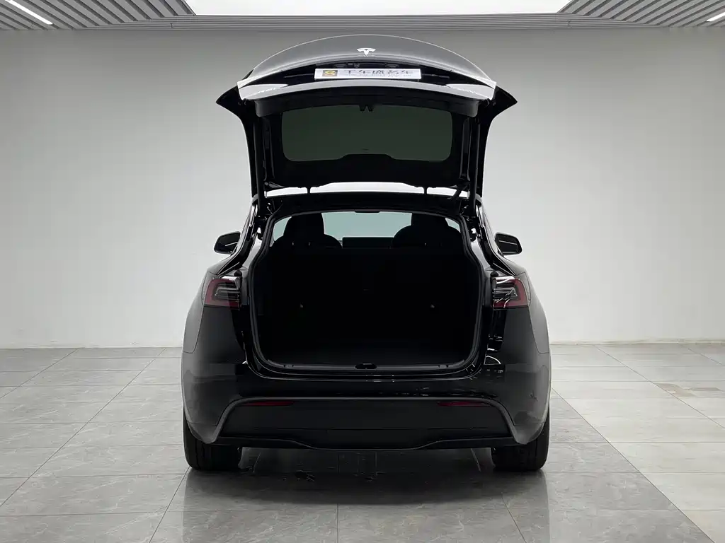 Tesla Model Y — миниатюра 10