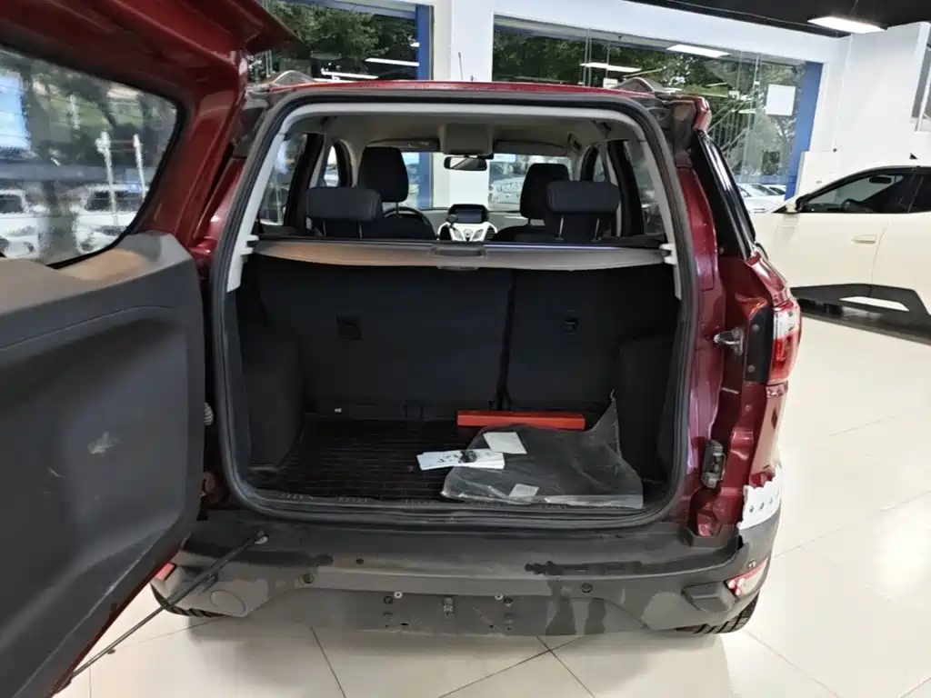 Ford Ecosport — миниатюра 19