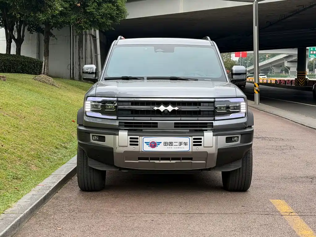 Fang Cheng Bao Leopard 5 — миниатюра 2