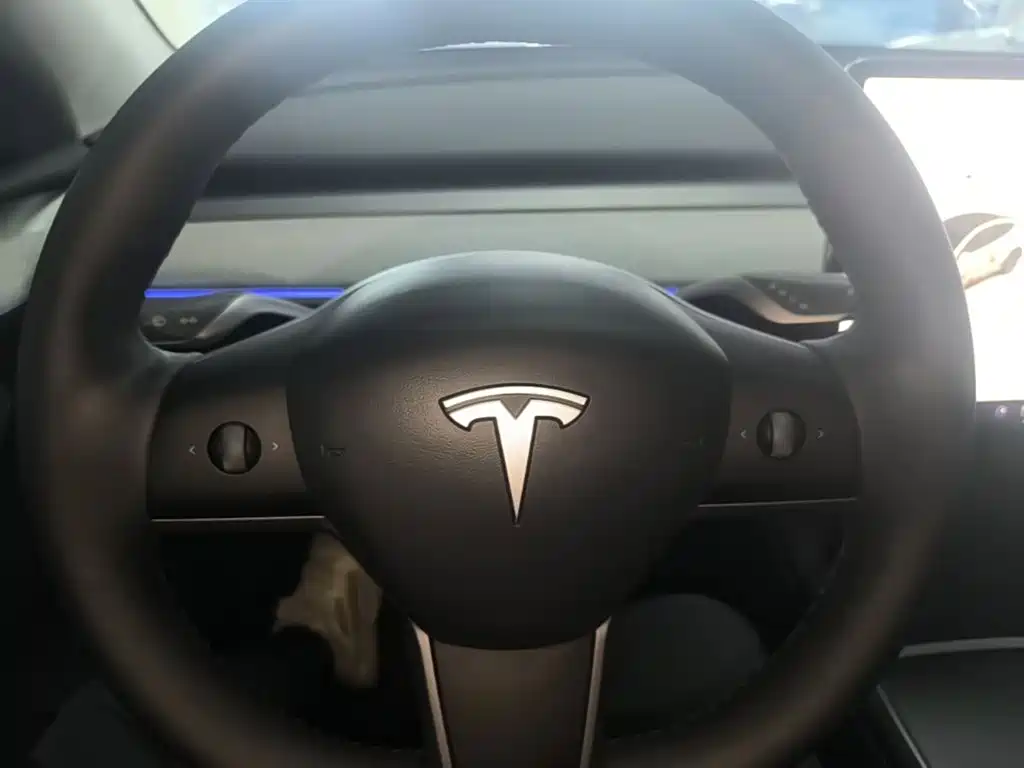 Tesla Model Y — миниатюра 7