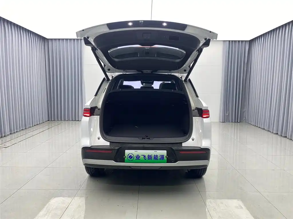 BYD SONGJIANG NEW ENERGY