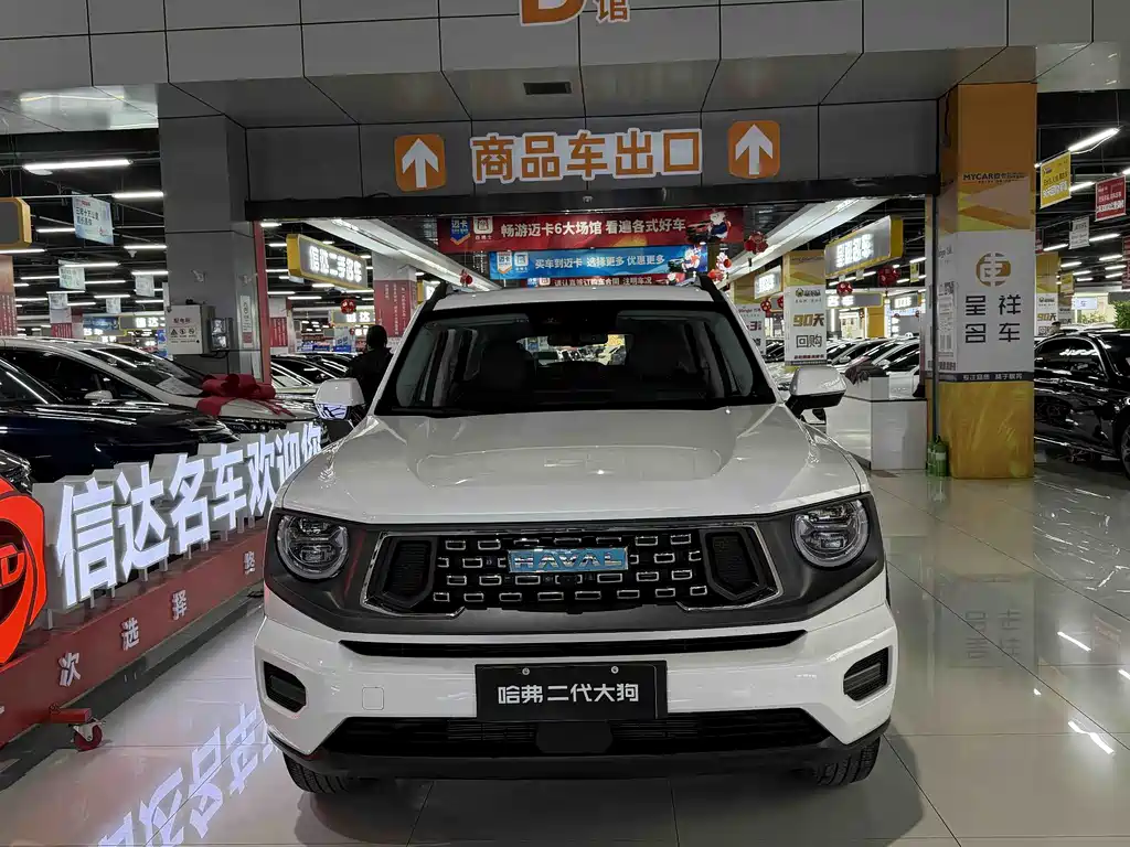 HAVAL SECOND GENERATION BIG DOG NEW ENERGY
