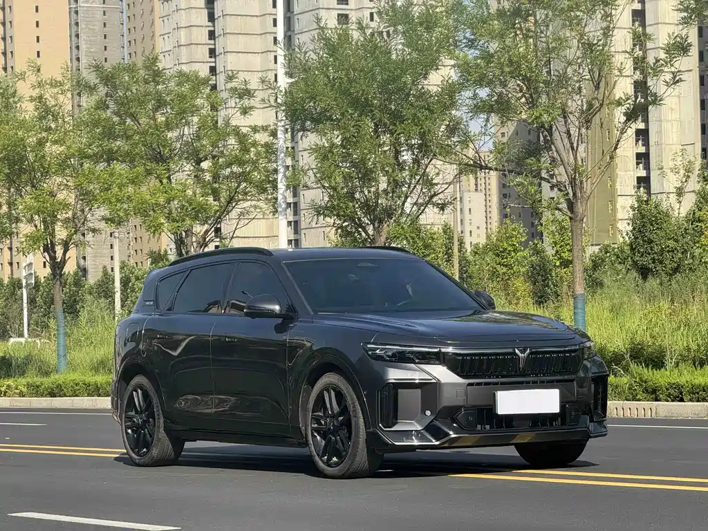 Voyah Free 2025 318 318km