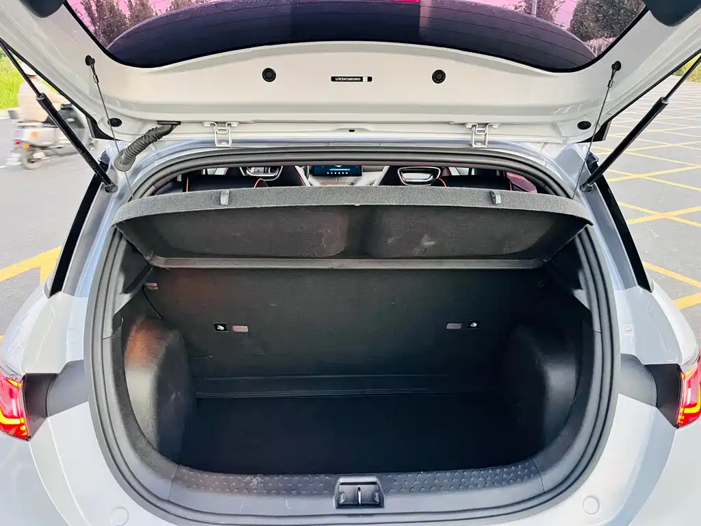 BYD Dolphin — миниатюра 18