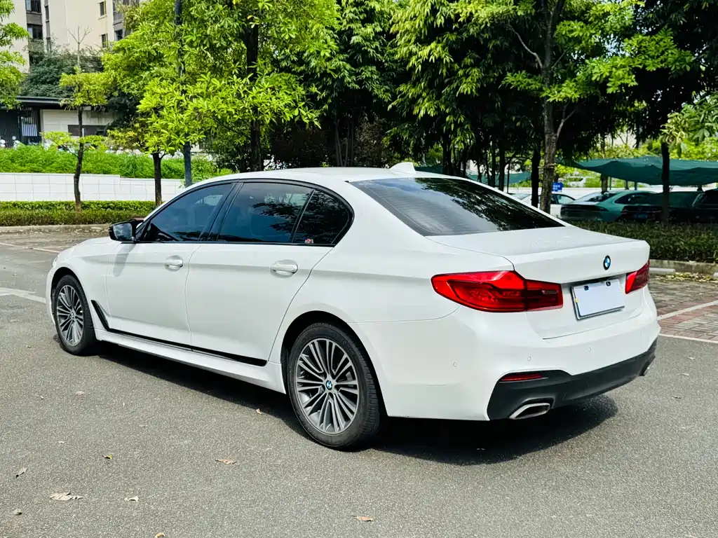 BMW 5 Series 5 2020 525Li M Sport