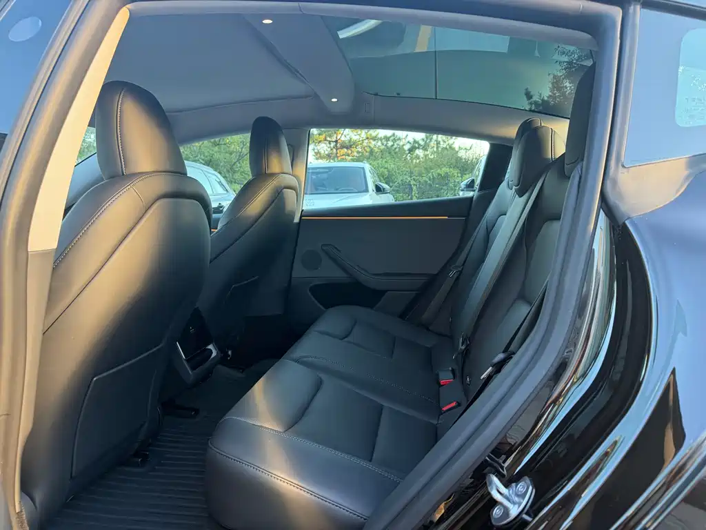 Tesla Model 3 — миниатюра 6