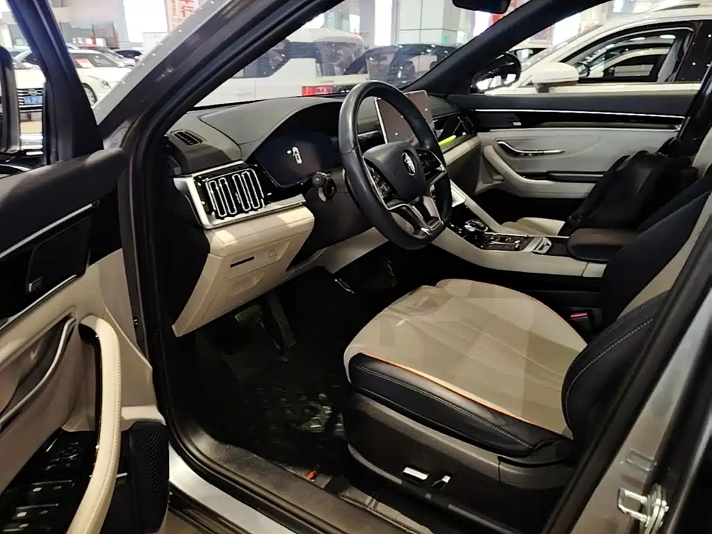 BYD PLUS New Energy — миниатюра 16