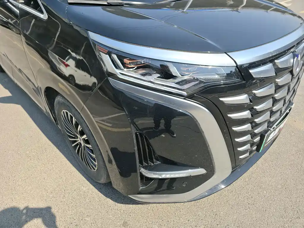 Denza Denza D9 — миниатюра 5