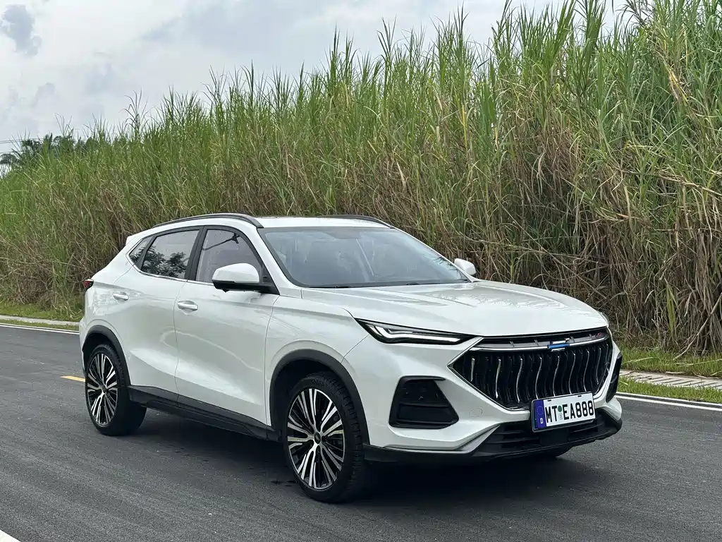 Oshan Oushang X5 — миниатюра 3