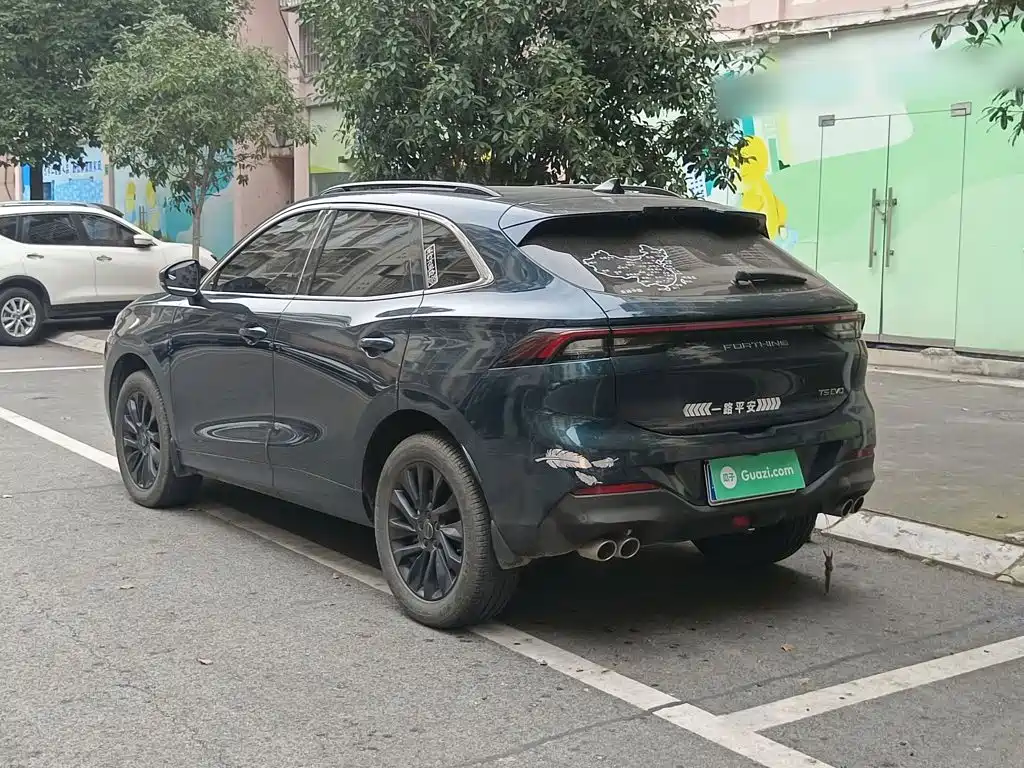 Fengxing Fengxing T5 EVO — миниатюра 5