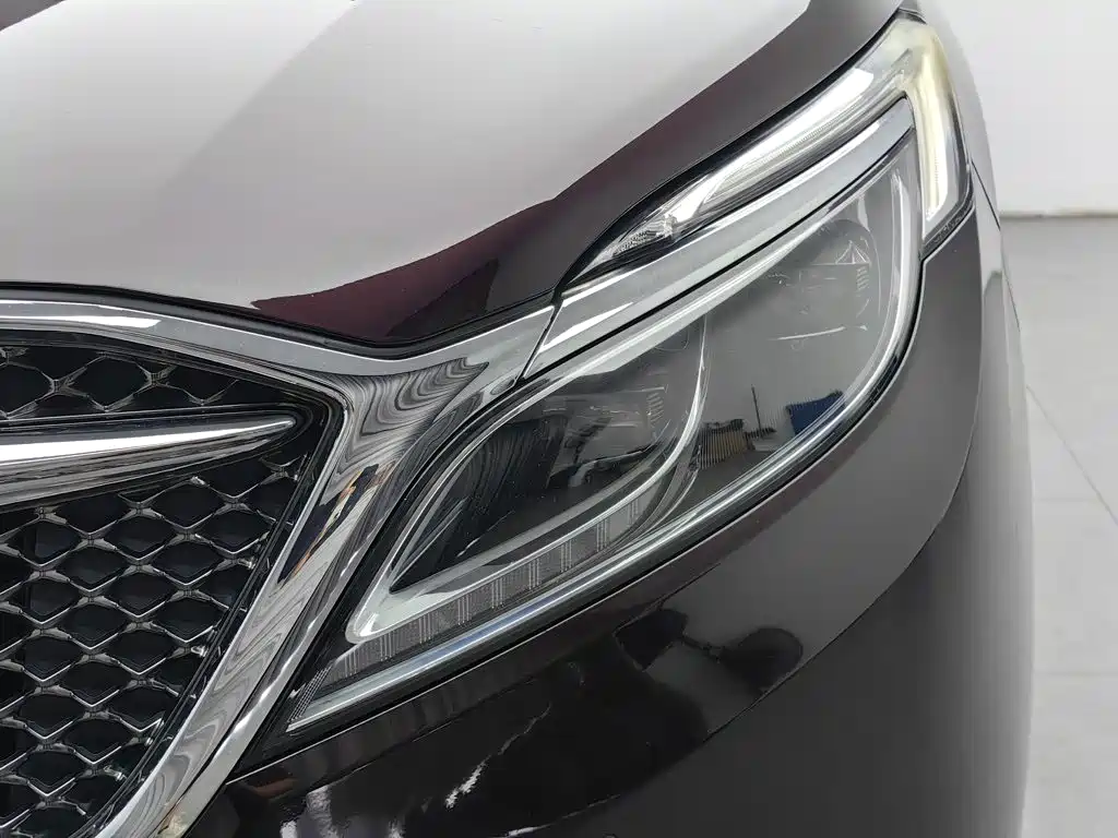 Buick GL8 — миниатюра 7
