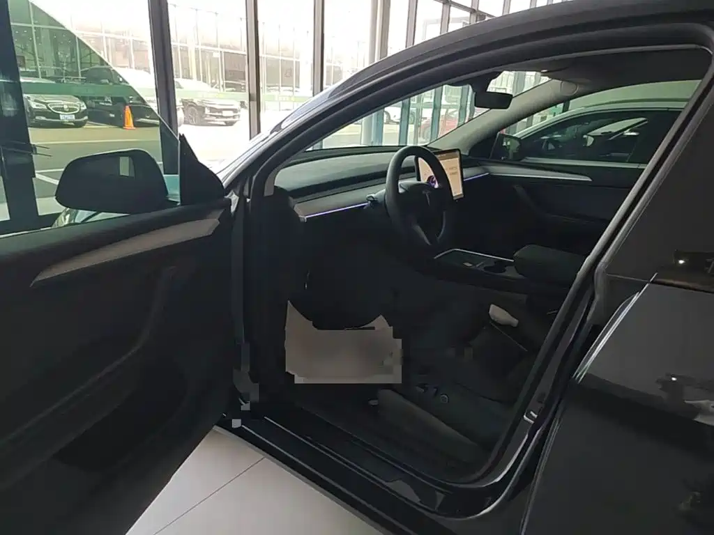 Tesla Model Y — миниатюра 16