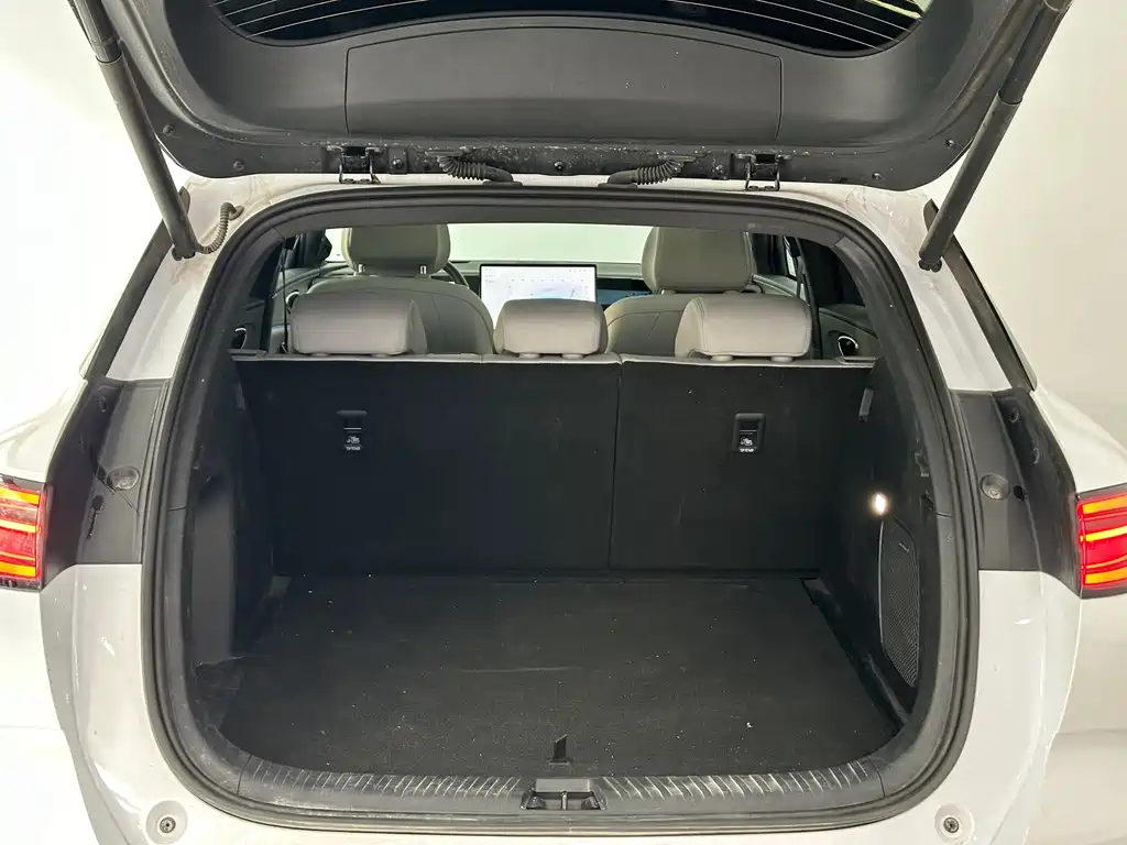 BYD SEA LION 06 NEW ENERGY