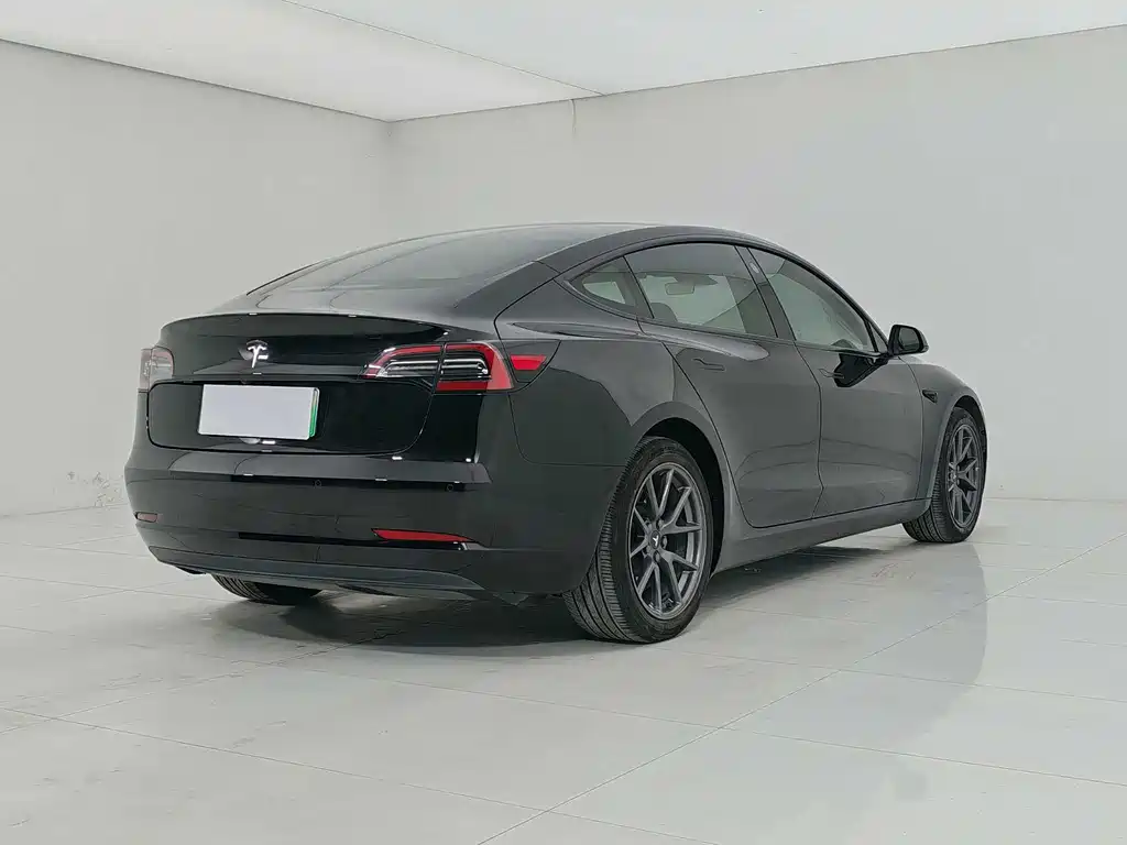 Tesla Model 3 2021 3D1