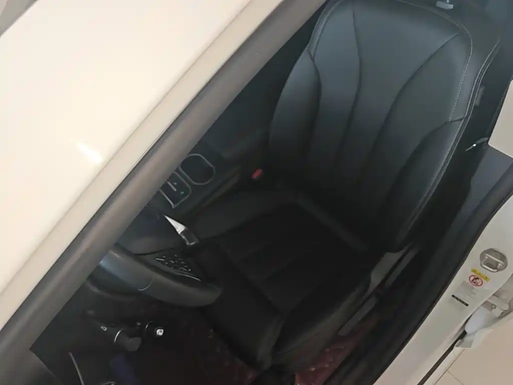 BYD MAX — миниатюра 15