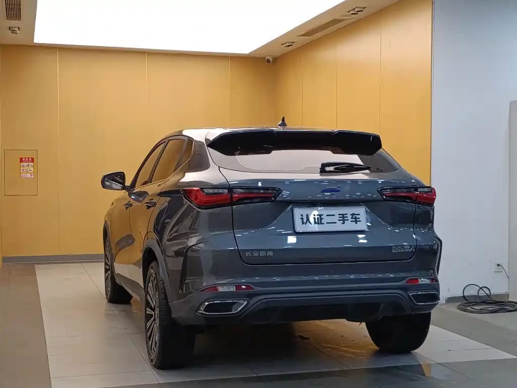 Oshan Oushang X5 — миниатюра 24