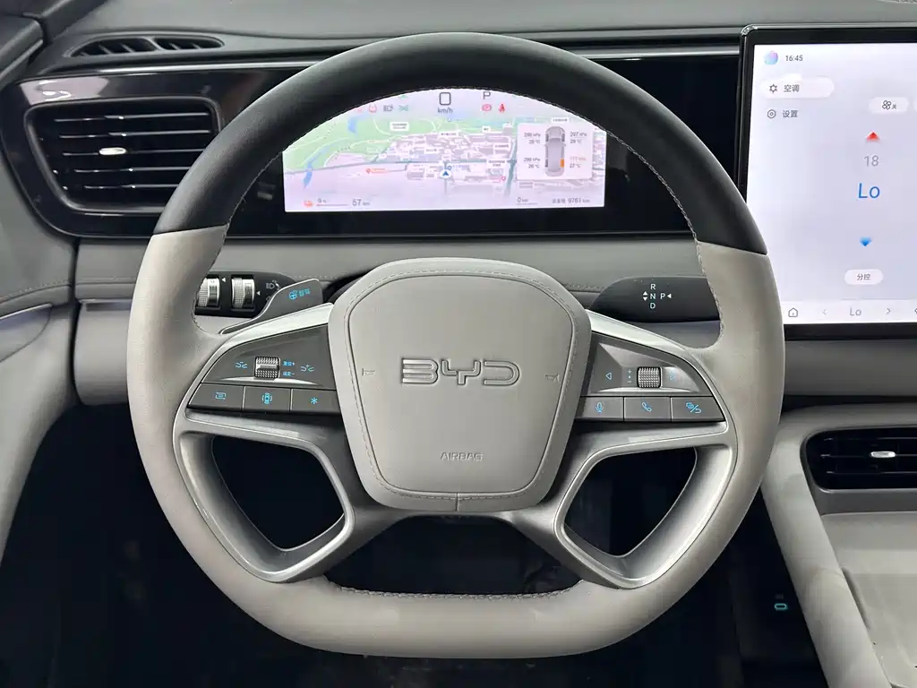 BYD SEA LION 06 NEW ENERGY