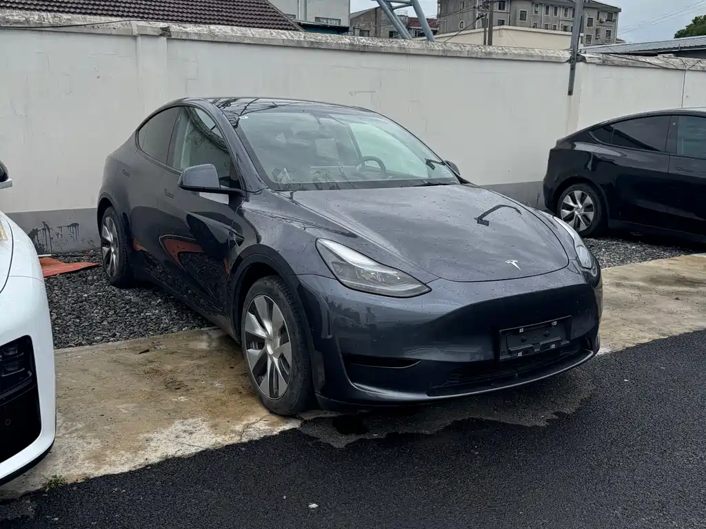 Tesla Model Y 6 2022 Fashion PLUS