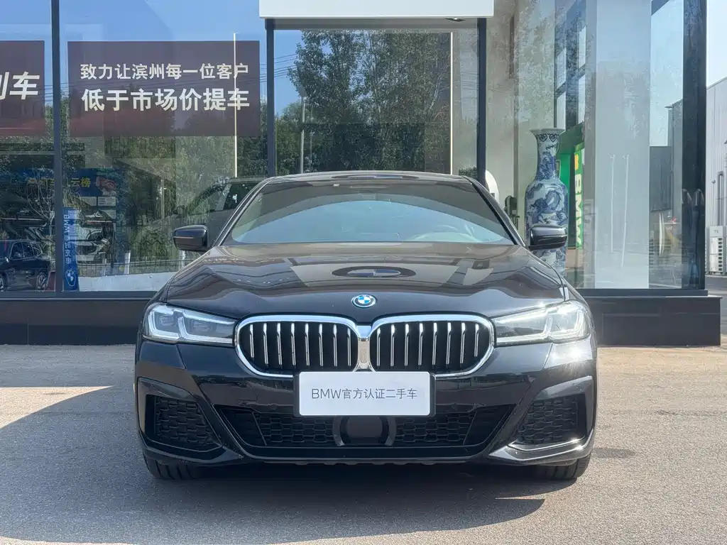 BMW 5 Series New Energy — миниатюра 3