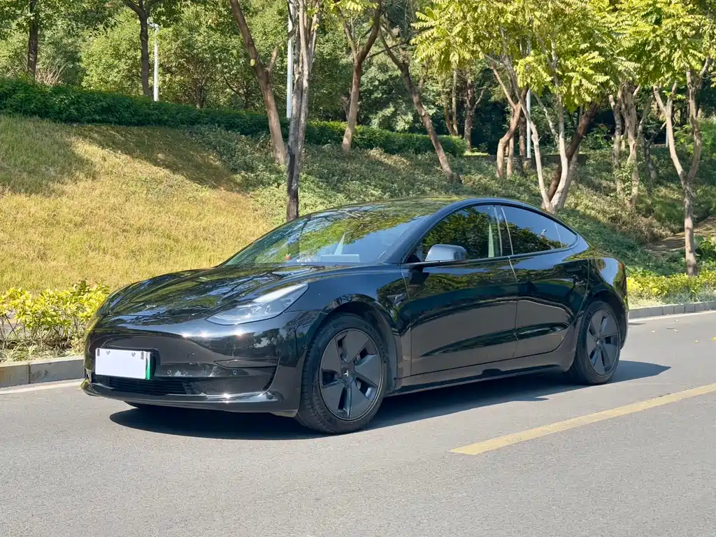 Tesla Model 3 2021