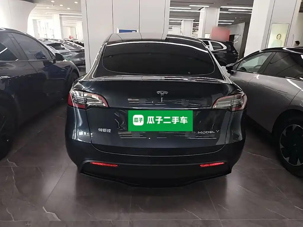 Tesla Model Y — миниатюра 6