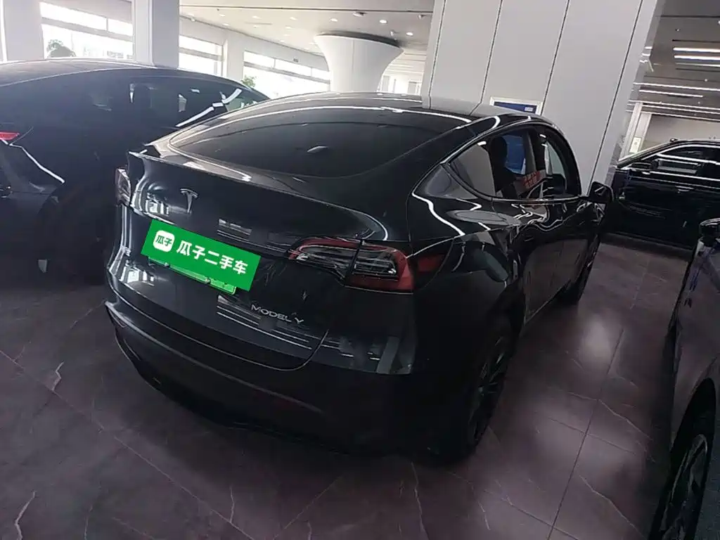 Tesla Model Y — миниатюра 7