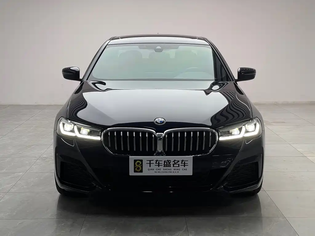 BMW 5 Series — миниатюра 2