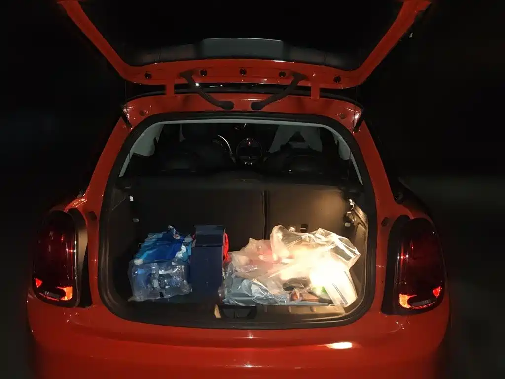 MINI Mini — миниатюра 20